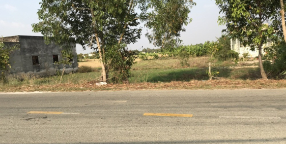 Đất lúa mặt tiền Tỉnh Lộ 832 cách ngã 4 tân Phước Tây, Tân Trụ chỉ 400m.