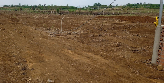 Cần tiền bán gấp 1000m2 đất vườn huyện Trảng Bom, cách đường nhựa 150m.