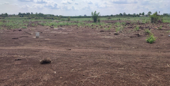 Bán gấp miếng đất vườn 1000m2 gần đường nhựa lớn xã Hưng Thịnh, Trảng Bom.