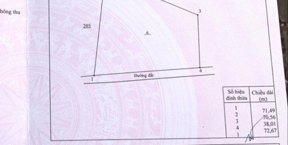 Chủa Cần Bán Gấp 65.000m2 có 260m mặt tiền nhựa