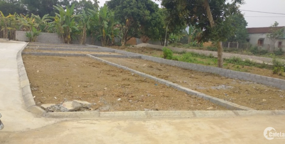 Bán đất đồi sen Bình Yên Thạch Thất, 77m, mt 4,6m đã có sổ.