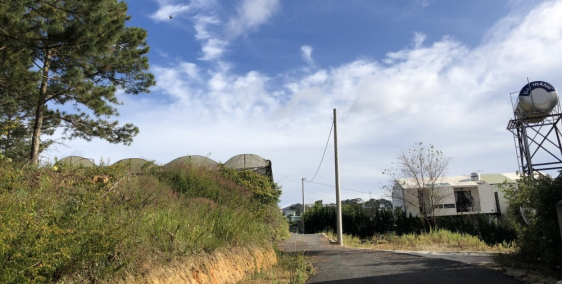 Bán đất view rừng thông Đà Lạt 200m2 - 6 tỷ