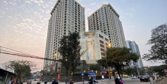 Bán căn hộ chung cư 111m2 dự án D'Le Roi Soleil