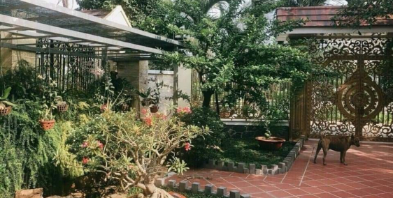 BT 3 mặt tiền View sông KDC Tân Quy Đông, Q.7, dt:420m2, ba lầu, 53.5 tỉ.