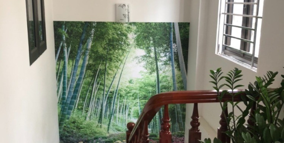 Bán nhà 2 tầng Trương Mỹ, TP Hải Dương, 73.4m2, mt 5.15m, ngõ ô tô, thông rộng