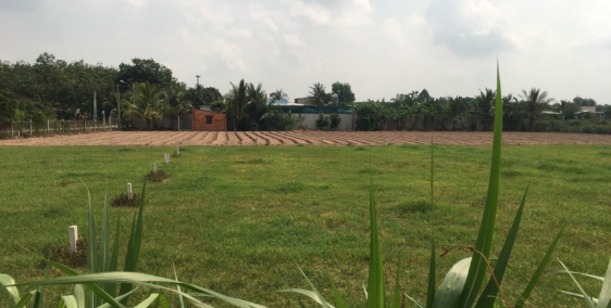 Tôi cần bán lô đất ở Thái Mỹ giá rẻ