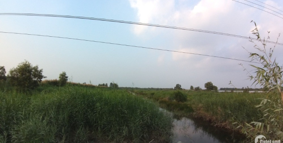 Chính chủ bán 48.000 m2 đất trên đường đi khu du lịch Hòn Đá Bạc, Cà Mau