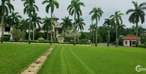 Bán lô biệt thự đồi view sân gôn Biên Hoà New City giá 15 Triệu/m2, liền kề Q.9