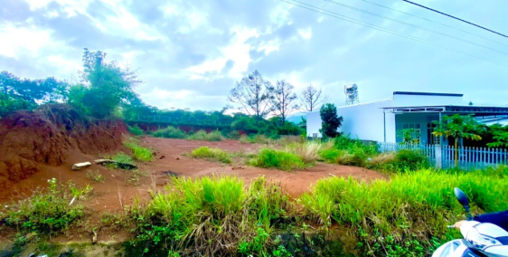 Cần bán đất mặt tiền Đinh Công Tráng - Giá đầu tư rẻ nhất khu vực