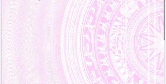 Bán lô đất chính chủ MT quốc lộ 50, Cần Đước, Long An, DT 93,1m2, shr