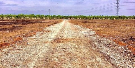 Kẹt tiền bán gấp 1000m2 đất cạnh khu công nghiệp Becamex