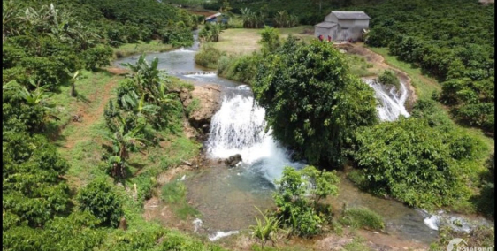 Bán lỗ 2 lô đất vườn có trái cây sẵn,Sát suối.