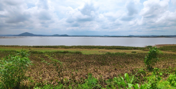 B Á N vườn quýt có view Hồ Trị An