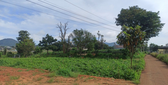 cần bán nhanh đất gần sân bay GIÁ RẺ,