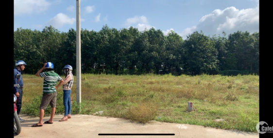 Đất đường bê tông, sổ sẳn, ngay cổng sau KCN Hiệp Thạnh, Gò Dầu. Tây Ninh.dt : 5