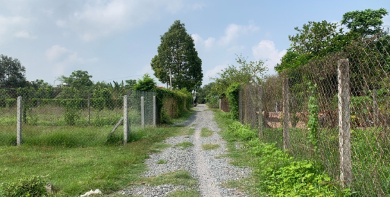 Đất có thổ cư gần QL22B và chợ Phước Trạch, Gò Dầu, Tây Ninh.Sổ hồng riêng.