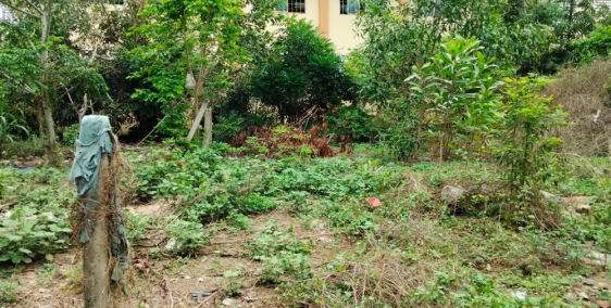 Đất ngay trường học cấp 2 Hiệp Thạnh, Gò Dầu, Tây Ninh, chỉ 260tr hết đất.