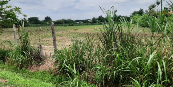 Tôi đang cần tiền nên bán gấp đất thổ cư full giá rẻ