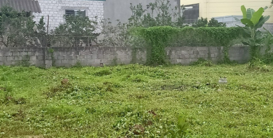 Bán Đất 480M Gần Chợ Đầu Mối Đông Tảo Đầu Tư Chỉ xTriệu/m2