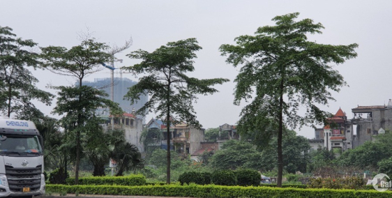 Nhượng QSD đất mặt đường Lý Sơn Long Biên 110 m2 mt 9m nhỉnh 15 tỷ