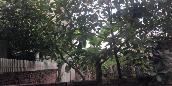 Bán đất 100m ngõ 649 Cự Khối có thể phân lô, giá rẻ