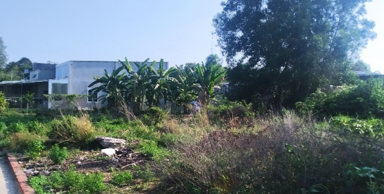 Bán đất hẻm xe hơi Lý Thái Tổ Nhơn Trạch Đồng Nai