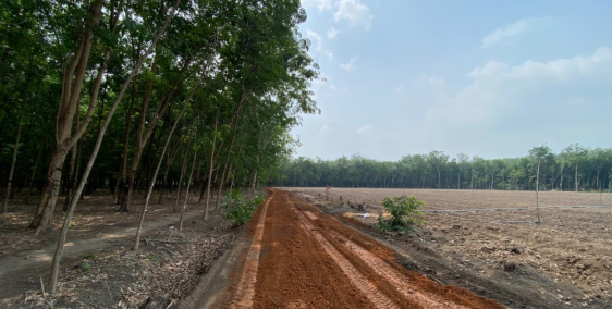 Đất nền Tân Hiệp, Tây Ninh giá rẻ