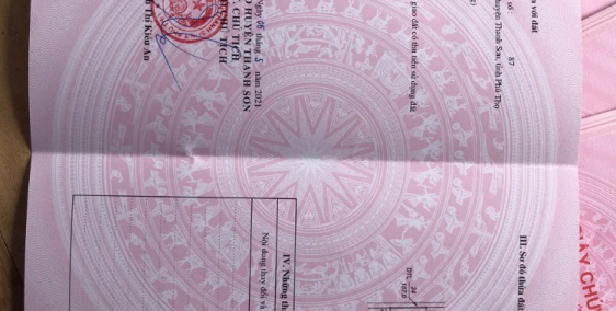 Chính chủ bán đất Thanh Sơn Phú Thọ 114m2 6x19m hướng Bắc sổ hồng riêng