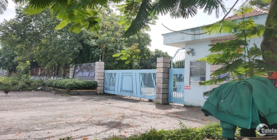 Cần Tiền Bán Lô Đất Đường Bình Chuẩn 34, Bình Chuẩn, Thuận An, Bình Dương, SHR