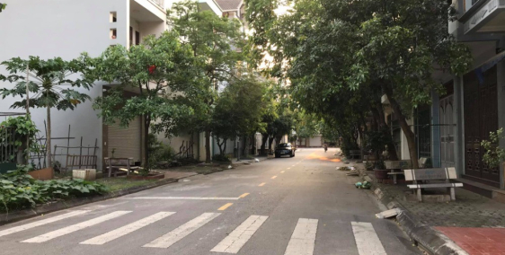 Bán đất mặt phố Đào Duy Từ, Đông Nam Cường, TP HD 216m2, mt 12m, đường 13.5m, gi