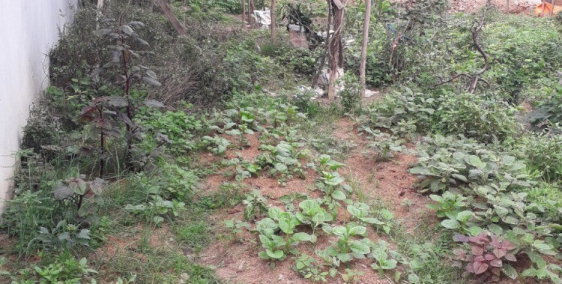 Đất Minh Quyết Vĩnh Yên giáp kcn Khai Quang