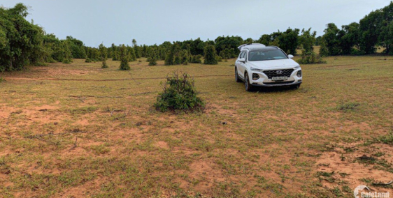 đất vườn ven biển Bình thuận sổ sẵn sang tên công chứng liền tay