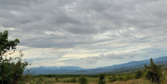 Bán 10,355m2 đất nông nghiệp hồng thái vuông đẹp sát liên huyện Lh 0385230667