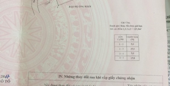 Bán giá mùa Covid Khu 2 thị trấn CoTo 235,61m