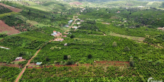 Đất Đinh Trang Hòa đường ô tô sổ riêng 2909m2 Giá: 810tr