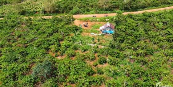 Đất Tân Lâm đường ô tô 183tr/sào sổ riêng