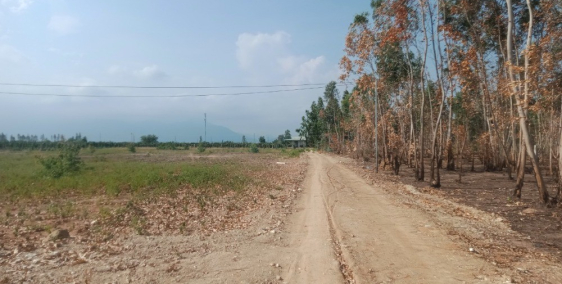 Thật dể dàng để sở hữu mảnh đất đẹp  ở Hàm Thuận Nam , TP Phan Thiết ,Bình Thuận