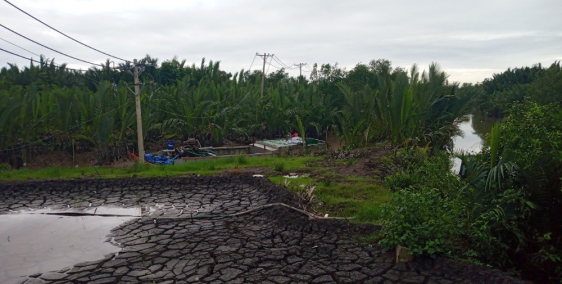 370 triệu 262m2 100% TCLN Hiệp Phước, Nhà Bè, giá tốt khu vực