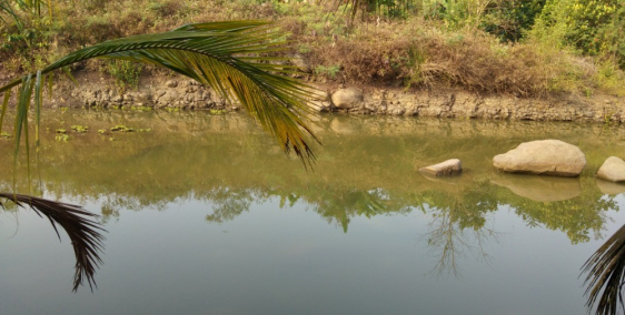 bán đất vườn du lịch ở xã Bình Lộc, Long khánh