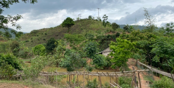 Bán lô đất 1,7h.a giá 100k/1m Tiểu khu 19-5 Mường Sang, Mộc Châu, Sơn La cực đẹp