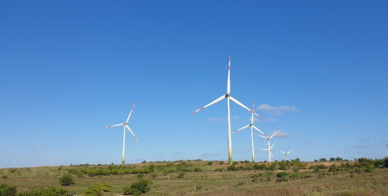 cần bán nhanh lô đất gần 2ha (gần mũi dinh sơn hải)