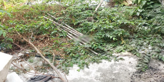 Bán đất thổ cư 100m2 hẻm ôtô Bùi Minh Trực Phường 5 Quận 8