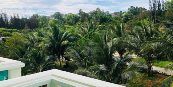 Do dịch covid tôi cần bán căn Ocean Vista block C