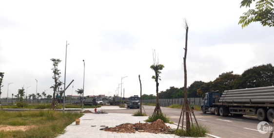 Bán Shophouse 5 Tầng  Đông Anh Hà Nội Giá Từ 3,6ty Ck 7%. HTLS 0% 18 tháng