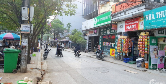 Nhà mặt phố Dịch Vọng, Cầu Giấy. Vỉa hè, oto, KD. 195m2 MT11m 26 tỷ