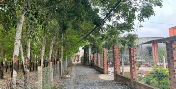 Cần bán gấp lô đất full thổ cư ấp 3,Bàu Đồn, Gò Dầu, Tây Ninh, sổ sẳn.