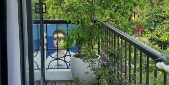 Bán mặt phố Hàng Bài,Hoàn Kiếm,siêu phẩm Phố Cổ,mặt tiền 11m,ban công cực đẹp