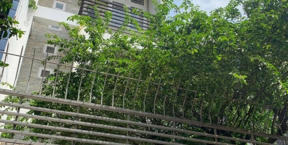 Bán nhà 3 lầu trung tâm quận 10 HXH Điện Biên Phủ 368m2 giá 16 tỷ