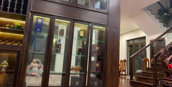 Siêu phẩm biệt thự gỗ - Trần Quốc Toản - Phường 8 - Quận 3