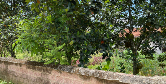 Lô đất siêu đầu tư nằm tại Xuân Khanh Sơn Tây Hà Nội 3072m2 giá cực ưu đãi